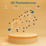 AVA‑291 shows 1,000x lower breast cancer risk in preclinical data