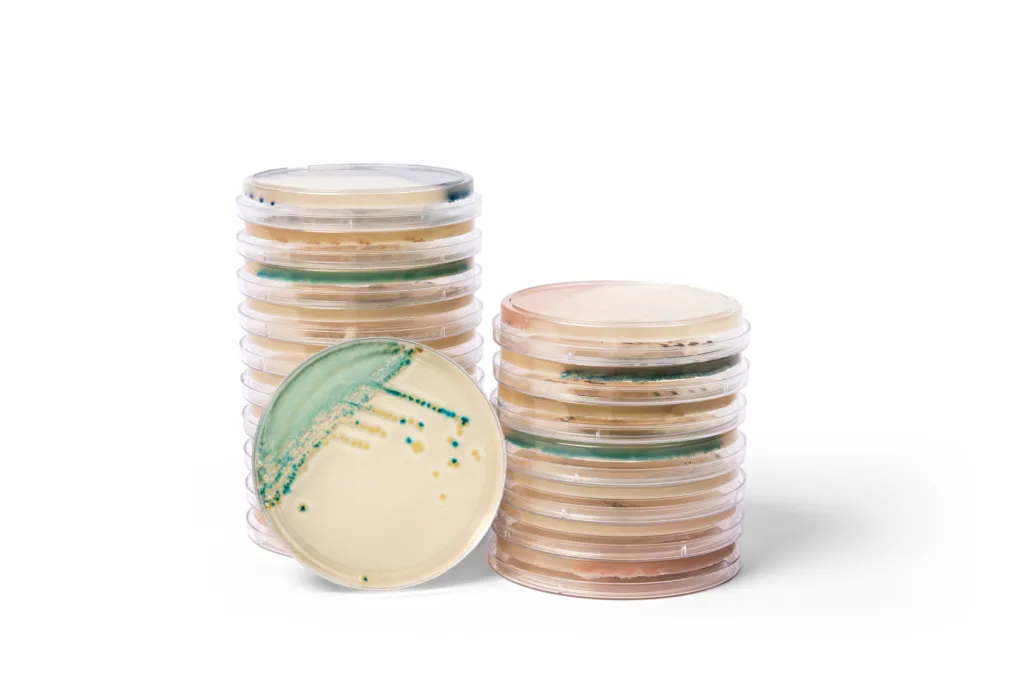 Thermo Fisher Scientific targets Candida auris with new chromogenic media