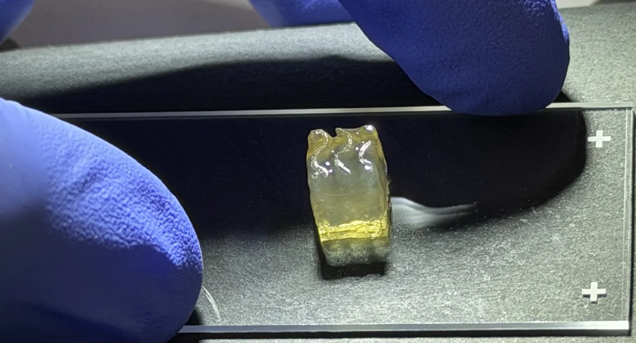 Auxilium Biotechnologies tests multi-product tissue manufacturing in microgravity