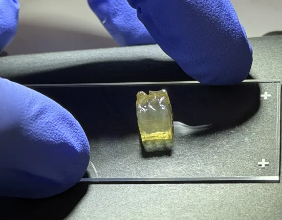 Auxilium Biotechnologies tests multi-product tissue manufacturing in microgravity